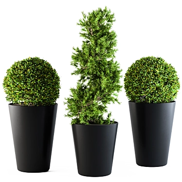 Shapely Outdoor Plants 3D model image 1 