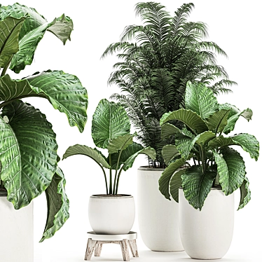 Tropical Plant Collection in White Pots 3D model image 1 