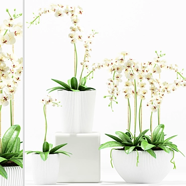 Elegant Orchid Flower Pot 3D model image 1 