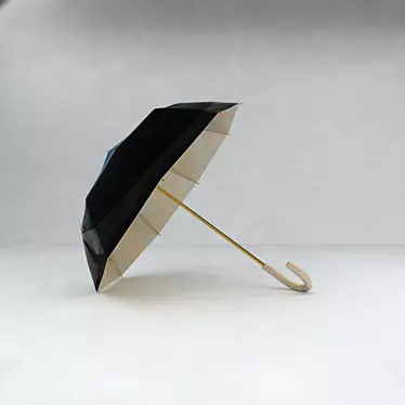 Rainproof Portable Umbrella 3D model image 1 