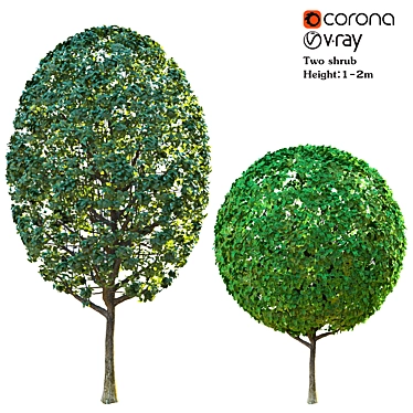 Dual-Leaf Shrub Combo | Corona Materials 3D model image 1 