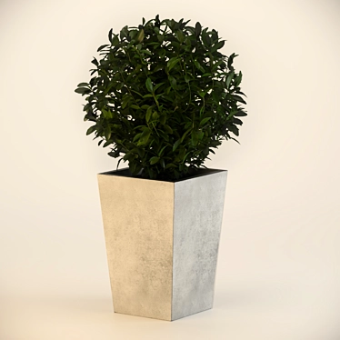 Sleek Concrete Planter 3D model image 1 