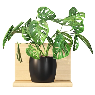 Tropical Leaf Decor: Monstera Monkey Mask 3D model image 1 