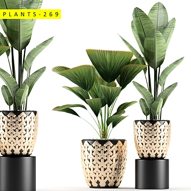 Title: 269 Plant Models 3D model image 1 