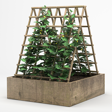 Cucumber Tree Pot 3D model image 1 