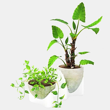 Houseplant Mikado