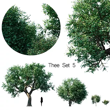 Elegant Tea Set for Five 3D model image 1 