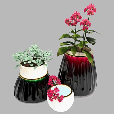 Tropical Duo: Kalanchoe & Fittonia 3D model image 1 