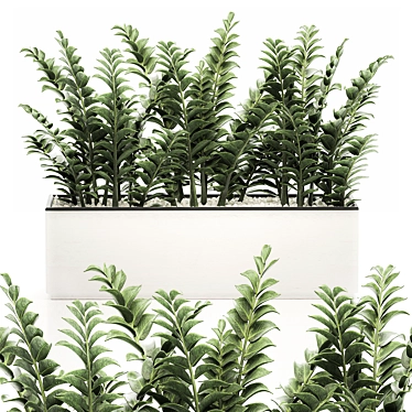 Tropical Plant Collection in White Pots 3D model image 1 