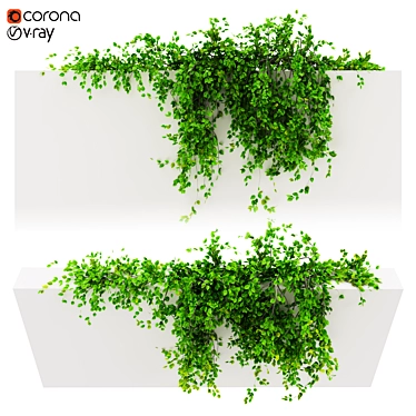 Lush Green Hanging Plant 3D model image 1 