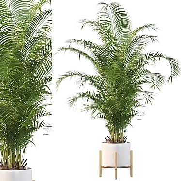 Tropical Paradise: Areca Palm 3D model image 1 