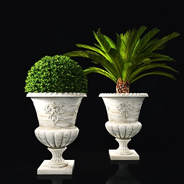 Antique Marble Urn: Boxwood & Cycas Palm 3D model image 1 