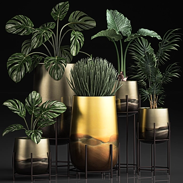 Tropical Plant Collection: Monstera, Kentia, Sansevieria 3D model image 1 