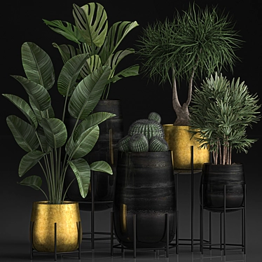 Tropical Indoor Plant Collection 3D model image 1 