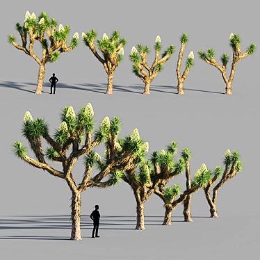  Joshua Tree Collection: 5 Varied Trees 3D model image 1 