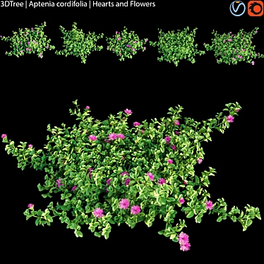 Heart's Flower | 3D Plant Model 3D model image 1 