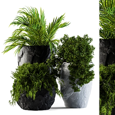 Rock Pot Plant Set 3D model image 1 