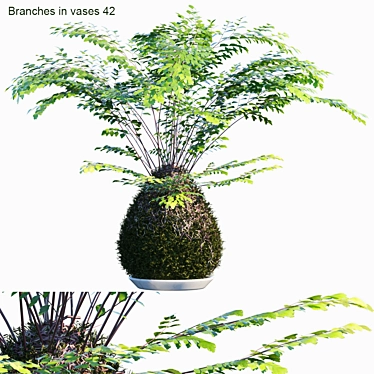 Kokedama Branches: Natural Living Décor 3D model image 1 