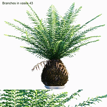 Zen Greenery: Branches in Vases 3D model image 1 
