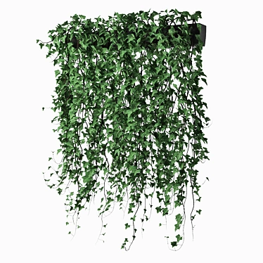 Lush Ivy in Pot 14 3D model image 1 