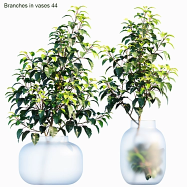 Elegant Branches in Vases 3D model image 1 
