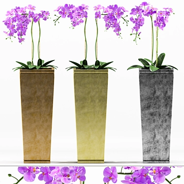 Floral 3D Orchids Set 3D model image 1 