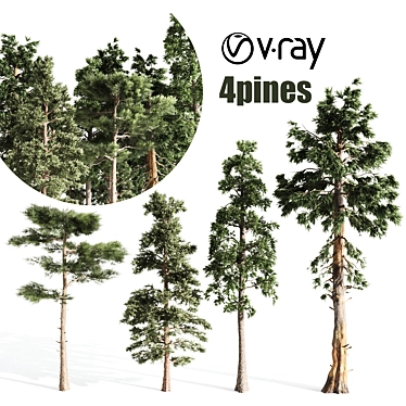 Russian Pine Tree: 4 Pines for a Serene Landscape 3D model image 1 