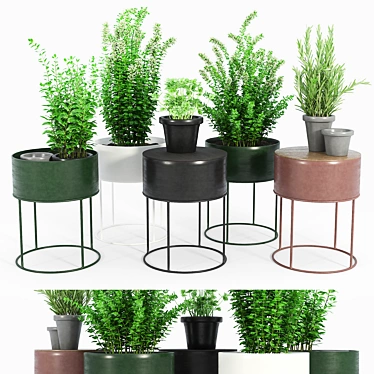 Round Plant Box: Versatile & Beautiful 3D model image 1 