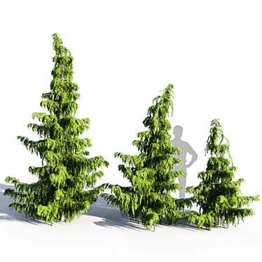 Nootka Cypress: Polys 1,422,929 3D model image 1 