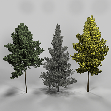 Lifelike Arboreal Collection 3D model image 1 