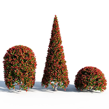 Vibrant Red Photinia Bush 3D model image 1 