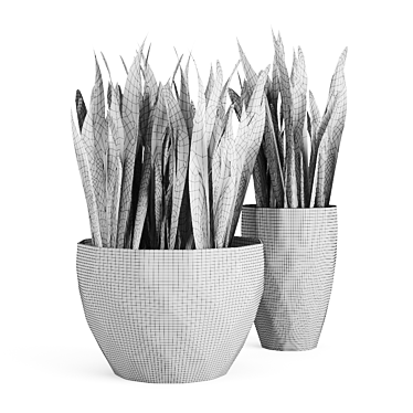 Sansevieria Snake Plant: Black Pot Elegance 3D model image 1 