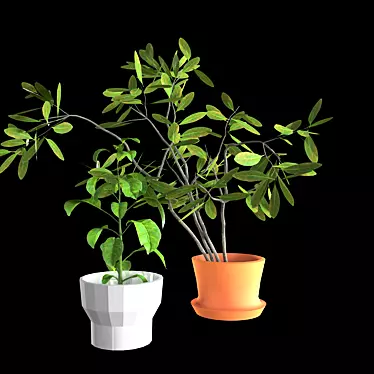 Green Oasis: Kitchen Indoor Plant 3D model image 1 