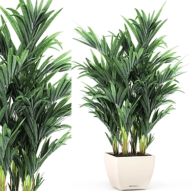 Tropical Palm Trio in White Pots 3D model image 1 