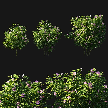 Natural Beauty: Rosa Virginiana Tree 3D model image 1 