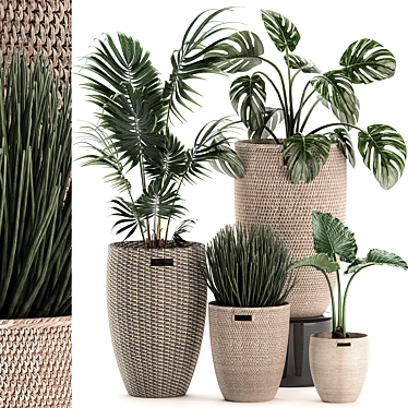 Tropical Plant Mix: Exotic, Decorative, Indoor 3D model image 1 