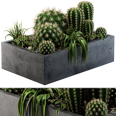 Desert Dream Cactus Set 3D model image 1 