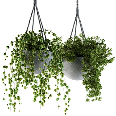 Title: Rustic Rope Hanging Pot 3D model image 1 