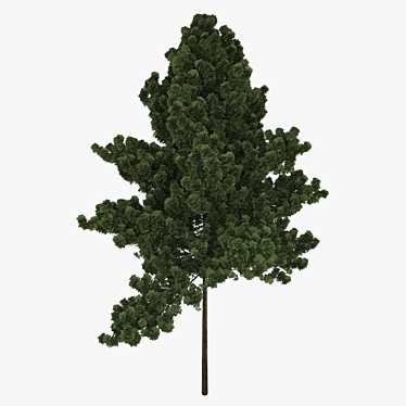 Realistic tree