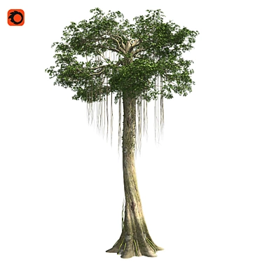 Optimized Kapok Tree 4K Textures 3D model image 1 