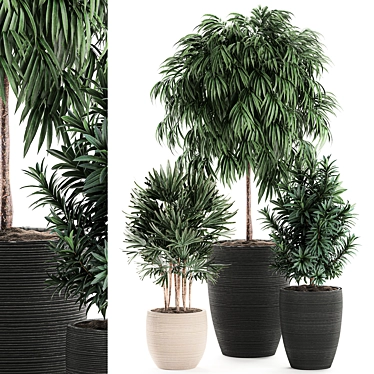 Exotic Plant Collection: Rhapis, Ficus, Nerium 3D model image 1 