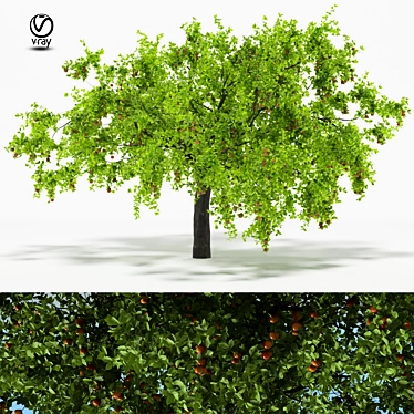 Vintage Apple Tree 5S: 2014 3D Model 3D model image 1 