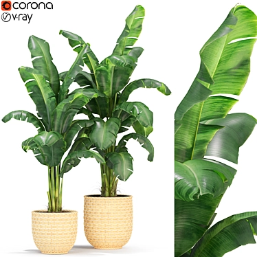 Green Oasis: Plant Collection 314 3D model image 1 