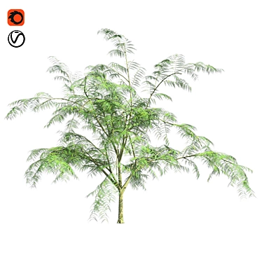 Optimized Quad Mimosa Tree 3D model image 1 