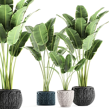 Exotic Plant Collection in Classic Vase 3D model image 1 