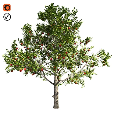 Optimized Red Apple Tree 3D model image 1 