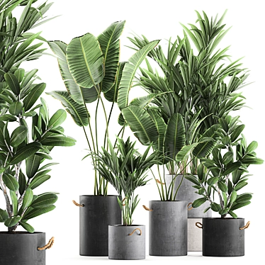 Exotic Plant Collection: Concrete Pot Decor 3D model image 1 