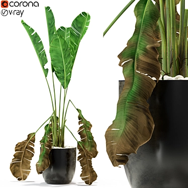 Lush Greenery Set 3D model image 1 