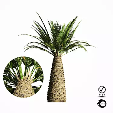 Tropical Palm Tree Replica 3D model image 1 