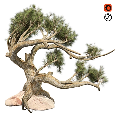 Optimized Jeffrey Pine Tree - Realistic 4K Textures 3D model image 1 